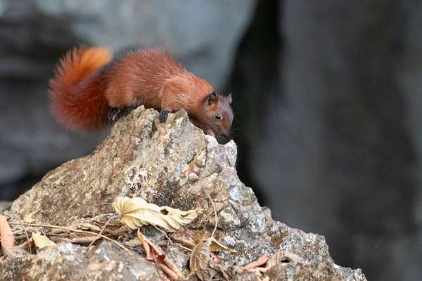 Laos (Landschaften): Bild 15