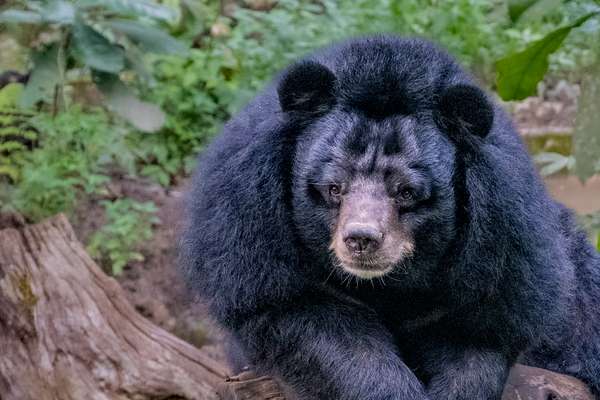 Laos (Landschaften): Bild 16