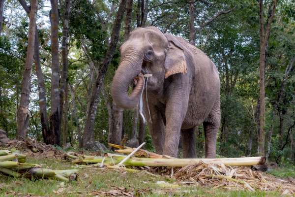 Laos (Landschaften): Bild 17