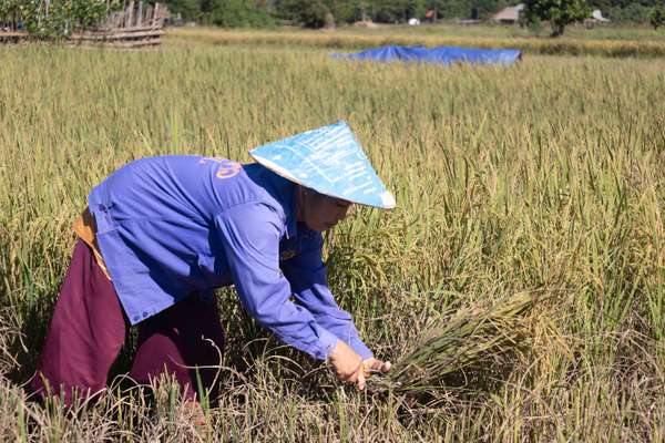 Laos (Alltag): Bild 5