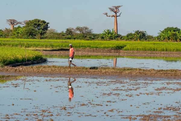 Madagaskar (Alltagsleben): Bild 17