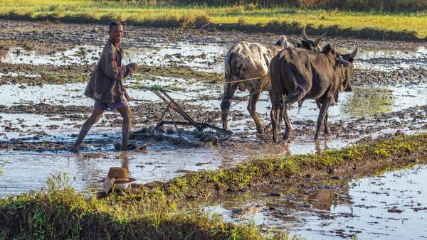 Madagaskar (Alltagsleben): Bild 18