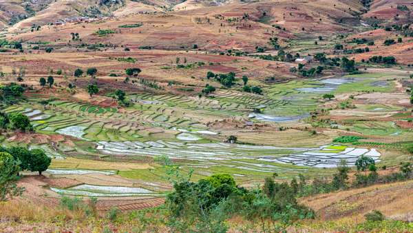 Cover-Bild 3 von Madagaskar