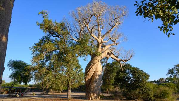 Madagaskar (Landschaft): Bild 8