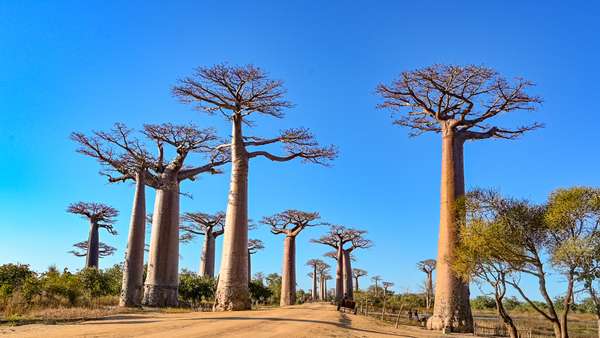 Madagaskar (Landschaft): Bild 9