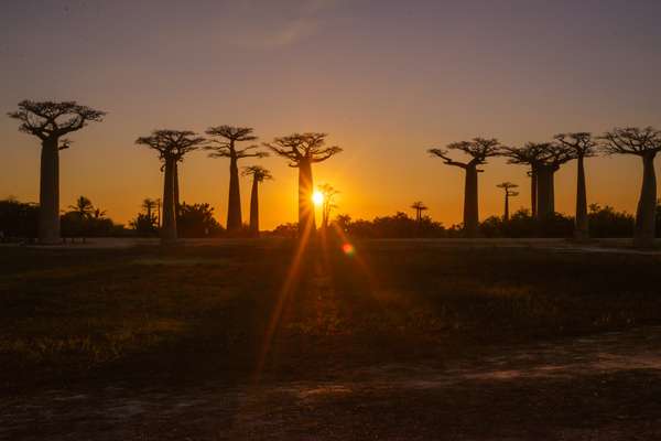 Madagaskar (Landschaft): Bild 10