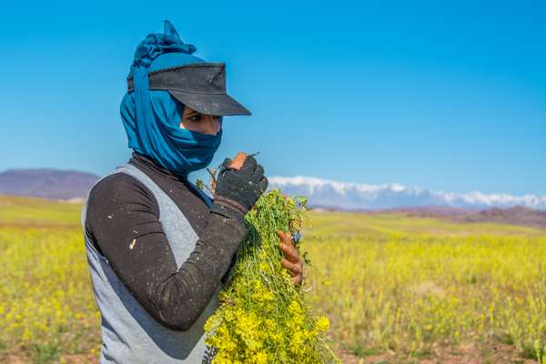 Marokko (Alltag): Bild 2