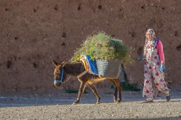 Marokko (Alltag): Bild 5