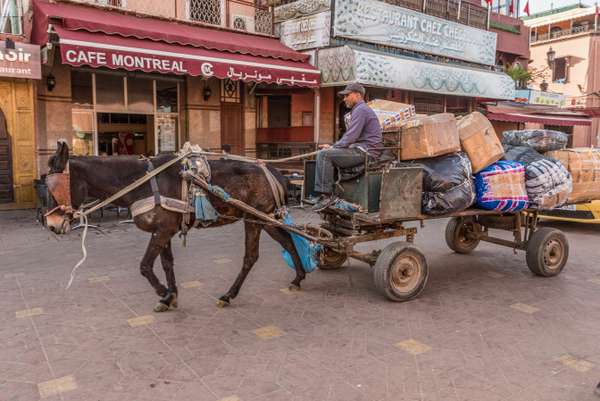 Marokko (Alltag): Bild 6