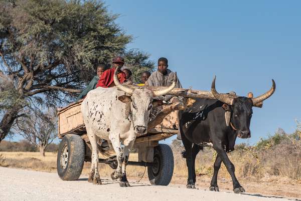 Cover-Bild 1 von Namibia