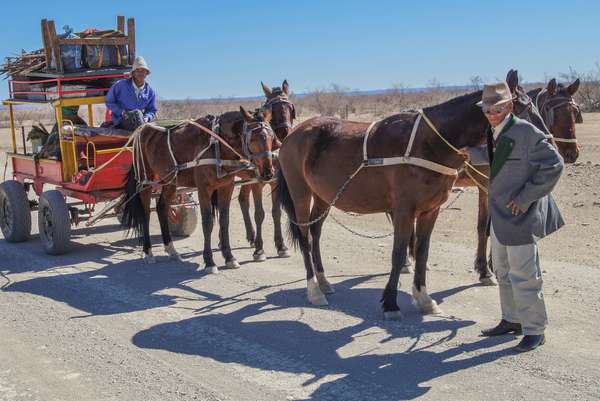 Cover-Bild 2 von Namibia