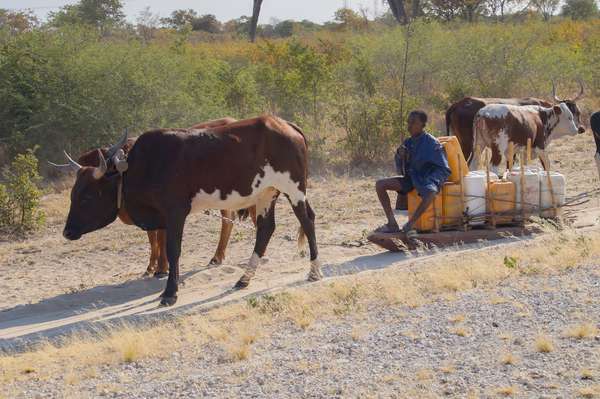Namibia (Alltagsleben): Bild 4