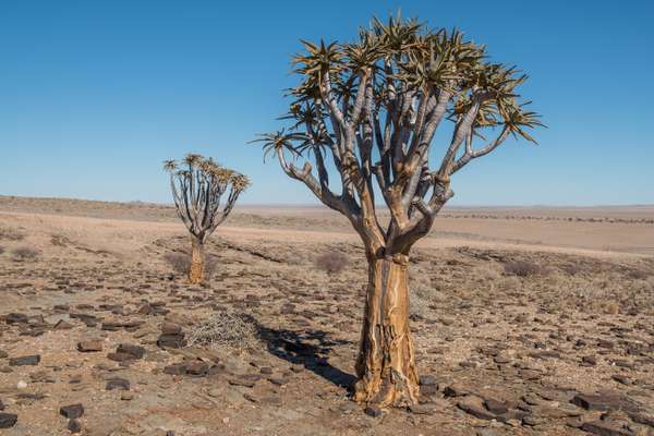 Namibia (Landschaft): Bild 9