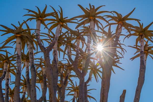 Namibia (Landschaft): Bild 10