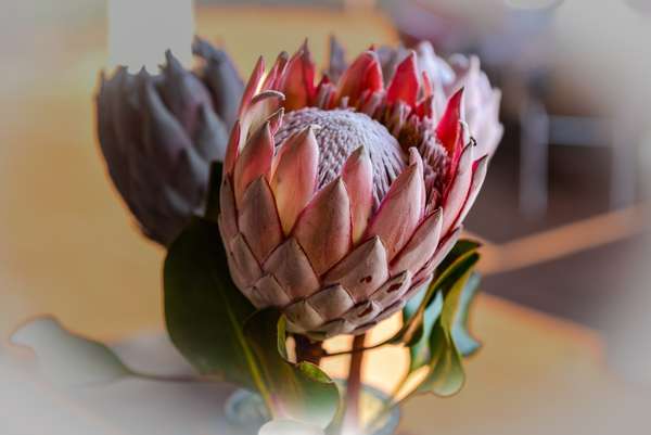 Namibia (Landschaft): Bild 14