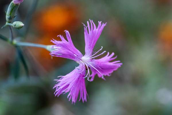 Namibia (Landschaft): Bild 16