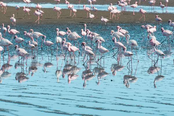 Cover-Bild 4 von Namibia