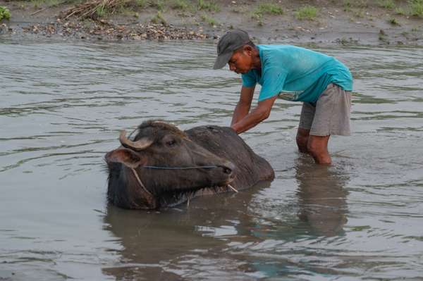 Nepal (Alltagsleben): Bild 20