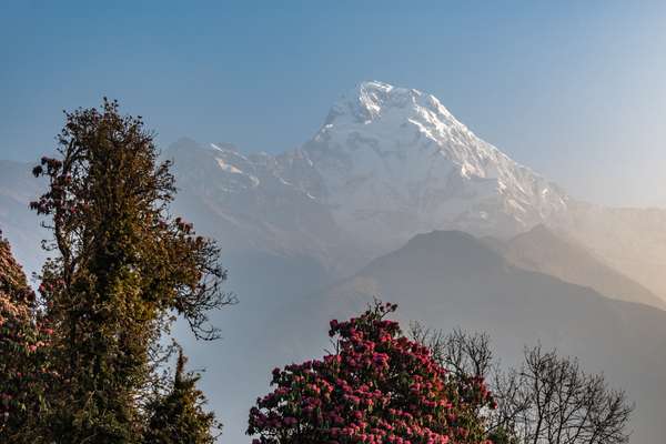 Nepal (Alltagsleben): Bild 21