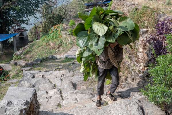 Nepal (Alltagsleben): Bild 23