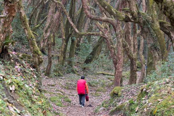 Nepal (Alltagsleben): Bild 24