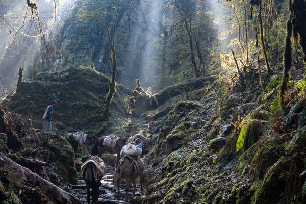 Nepal (Alltagsleben): Bild 25