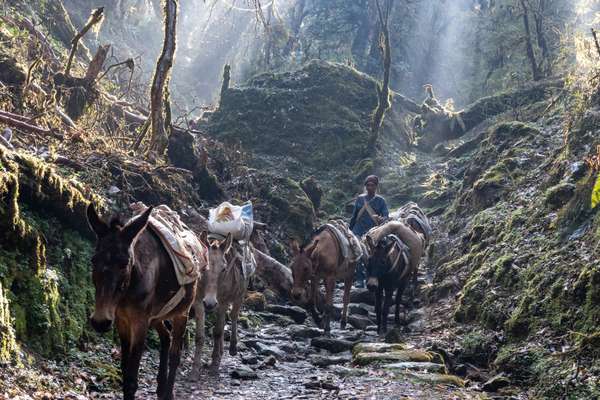 Nepal (Alltagsleben): Bild 26