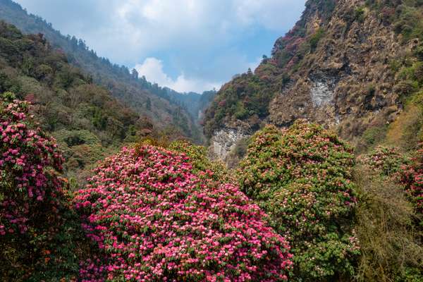 Nepal (Alltagsleben): Bild 30