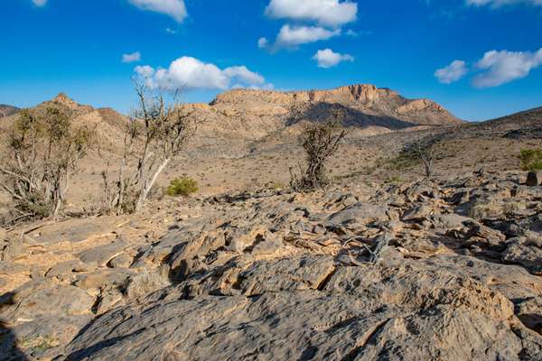 Oman (Landschaften): Bild 3