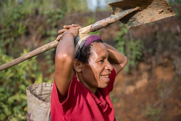 Cover-Bild 1 von Papua