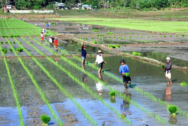 Die Philippinen (Alltagsleben): Bild 27