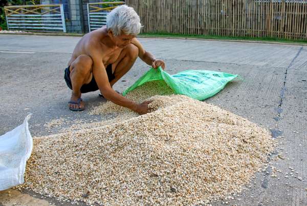 Die Philippinen (Alltagsleben): Bild 31