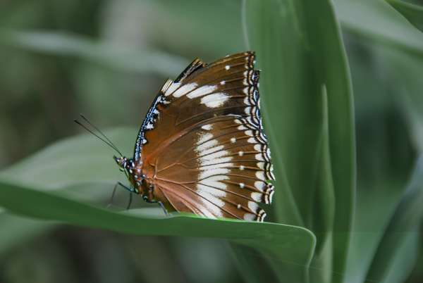 Die Philippinen (Landschaften): Bild 12