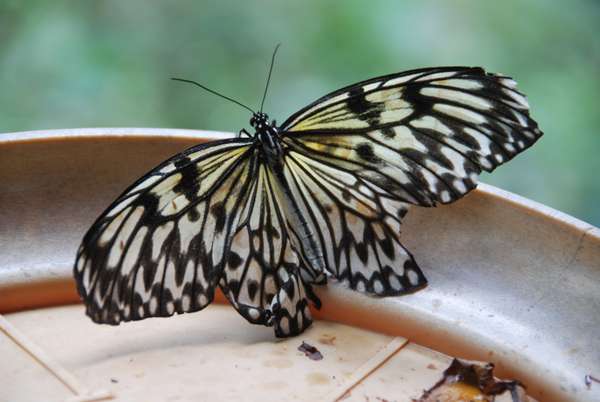 Die Philippinen (Landschaften): Bild 13