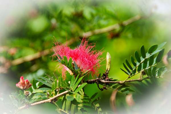 Die Philippinen (Landschaften): Bild 9