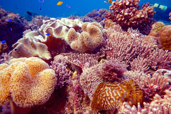 Cover-Bild 4 von Die Philippinen