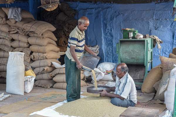 Indien: Rajasthan (Alltag): Bild 10