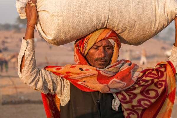 Indien: Rajasthan (Alltag): Bild 14