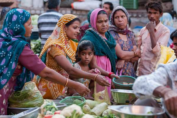 Indien: Rajasthan (Alltag): Bild 22