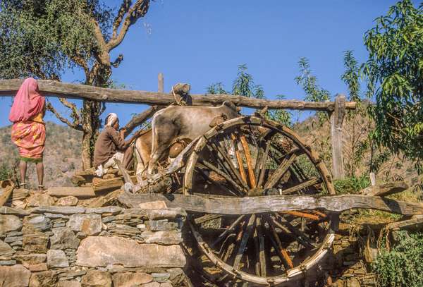 Indien: Rajasthan (Alltag): Bild 5