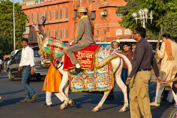 Indien: Rajasthan (Feste): Bild 11