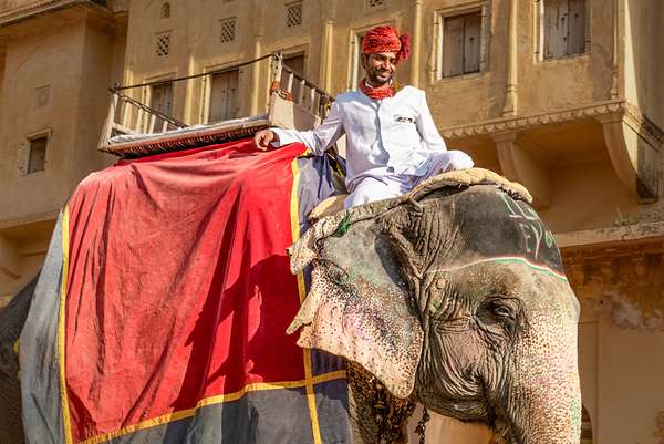 Indien: Rajasthan (Feste): Bild 8