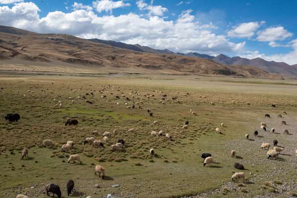 Tibet (Landschaften): Bild 8