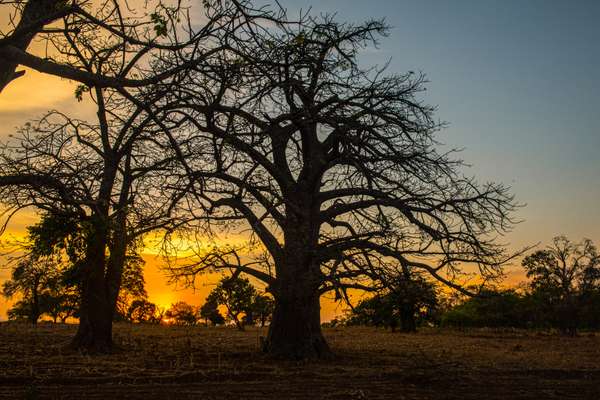 Togo – Benin (Alltagsleben): Bild 24