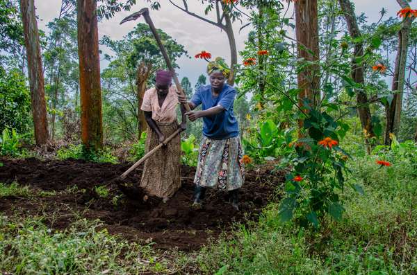 Cover-Bild 1 von Uganda