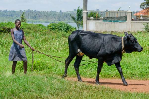 Uganda (Alltagsleben): Bild 3